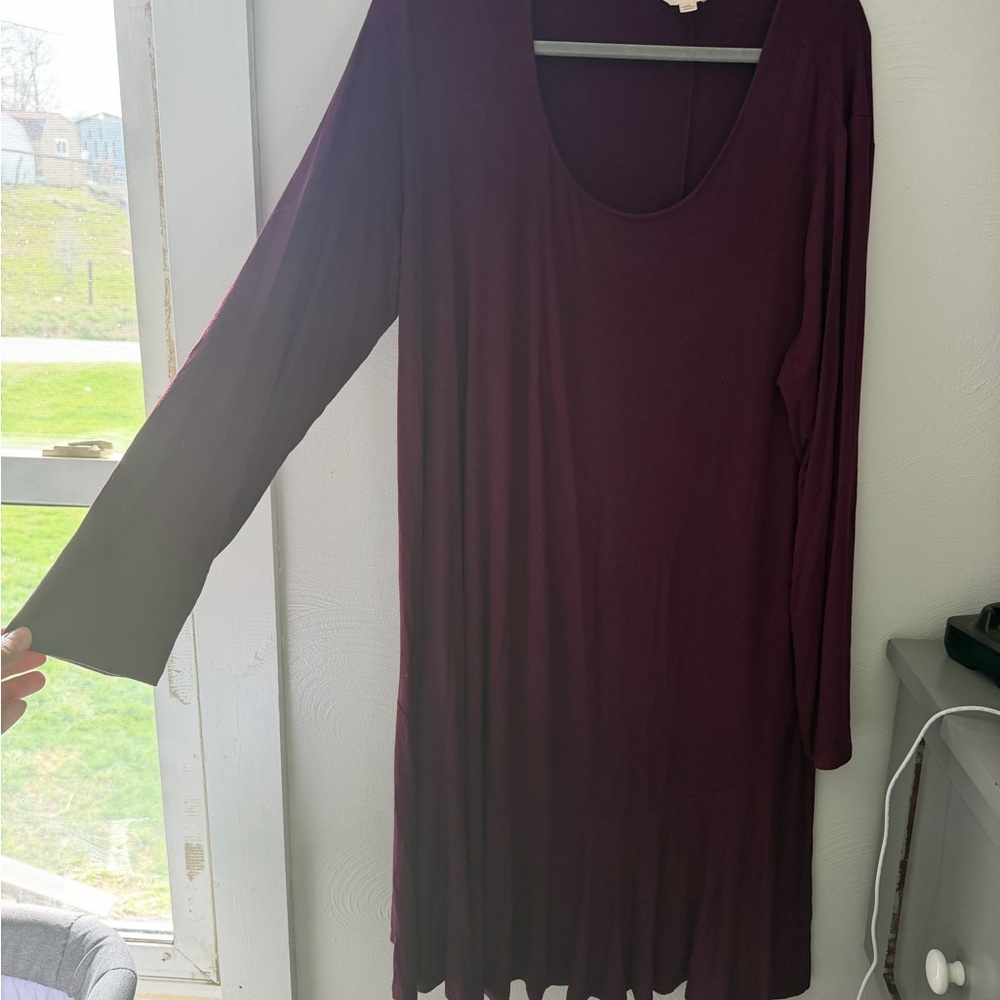 Terra & Sky Plum Scoop Neck Tunic
